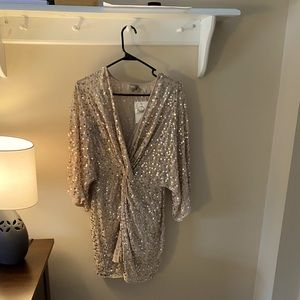 Gorgeous sequin dress from ASOS. This color is great on all skin tones.